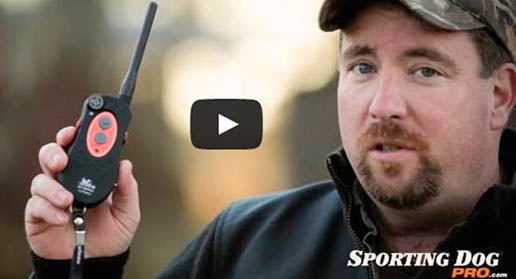 DT Systems H20 Plus Remote Training Collars Review