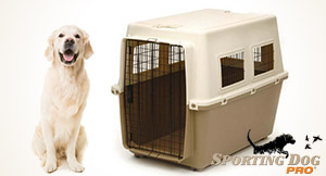 Crate Training an Older Dog