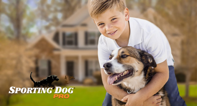 How to Properly Socialize Your Dog