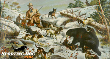 The Importance of Taking a Hunter Safety Course