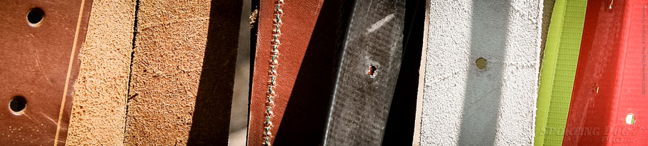 Collars & Leads