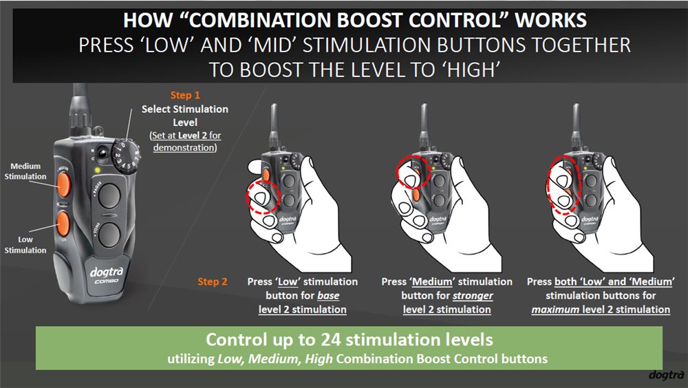 Dogtra Combo Collar How To