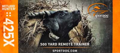 sportdog 425x wetlandhunter