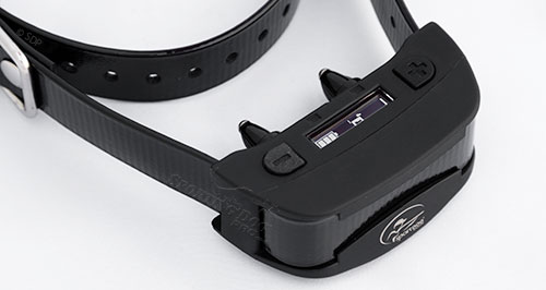 SportDOG SBC R product shot