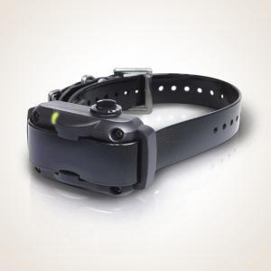 Dogtra YS-600 Yapper Stopper
