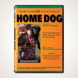 Home Dog: Volume 1 Training DVD