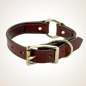 hunt test leather collar