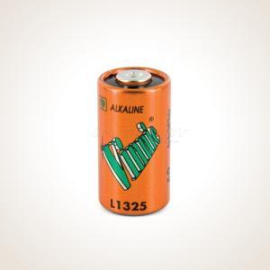 PetSafe 6V Alkaline Battery