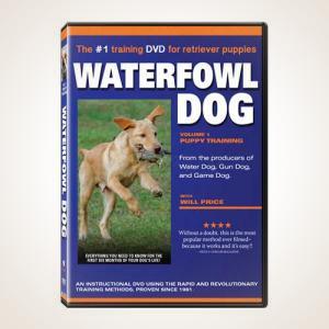 Waterfowl Dog Training DVD