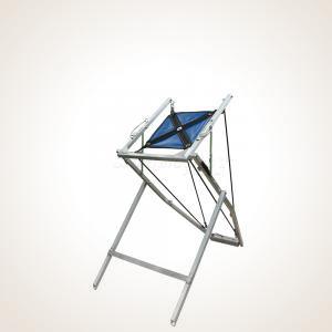 Zinger Winger Mini-Z w/ Full Electronics - Remote Edition